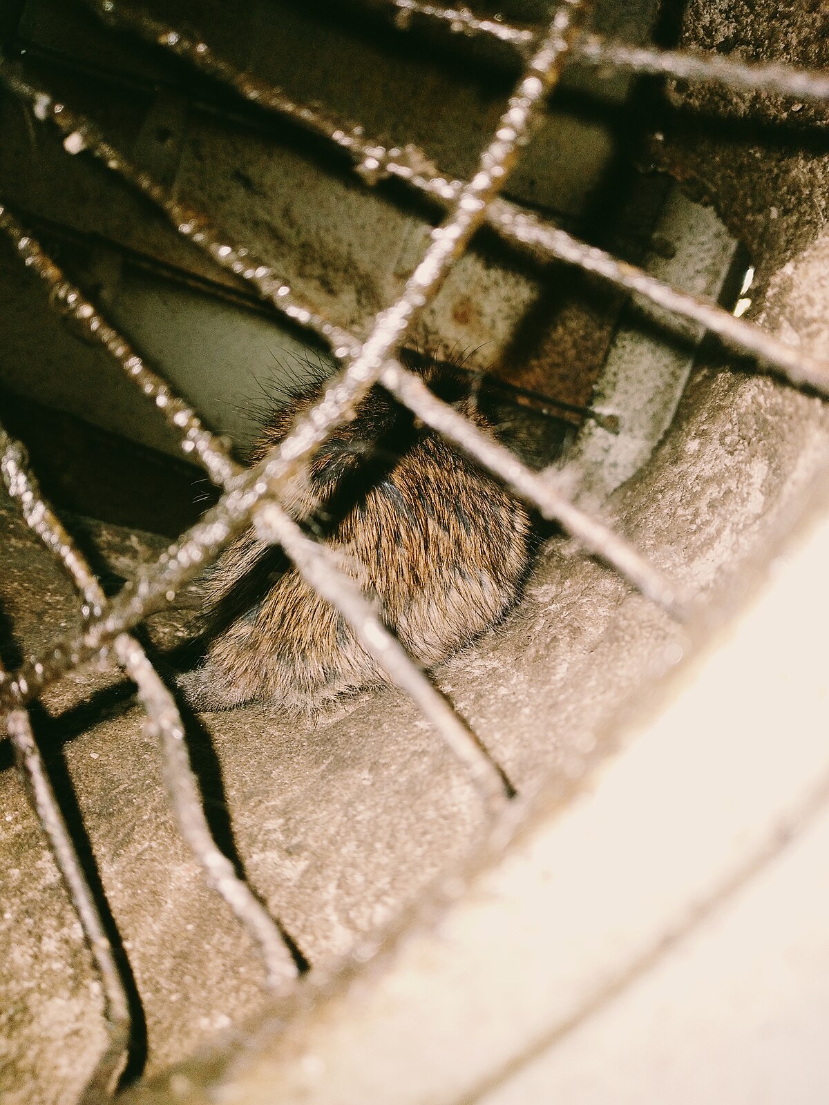 Degats constates commerce