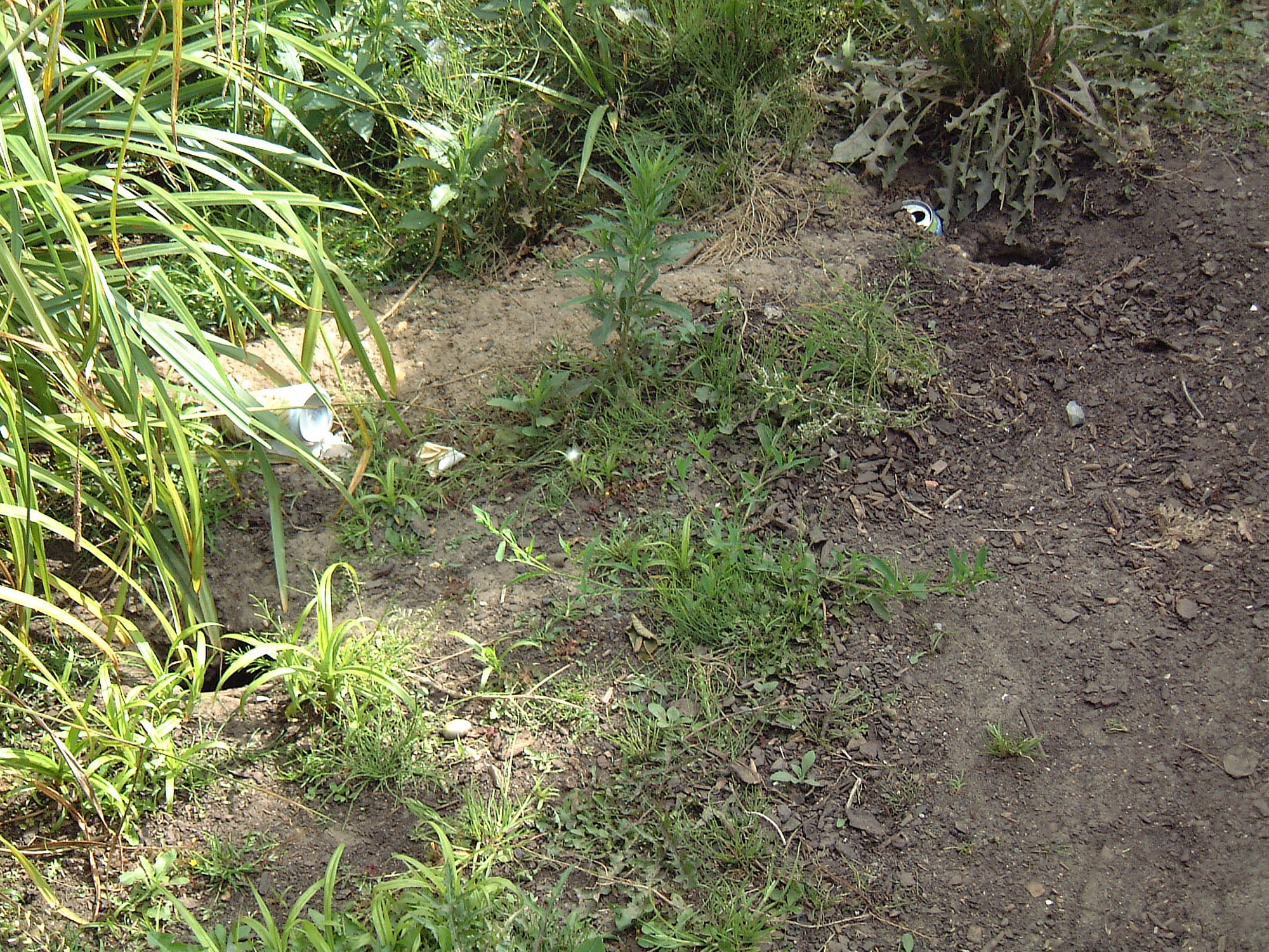 Non-conformité AFSCA commerce alimentaire