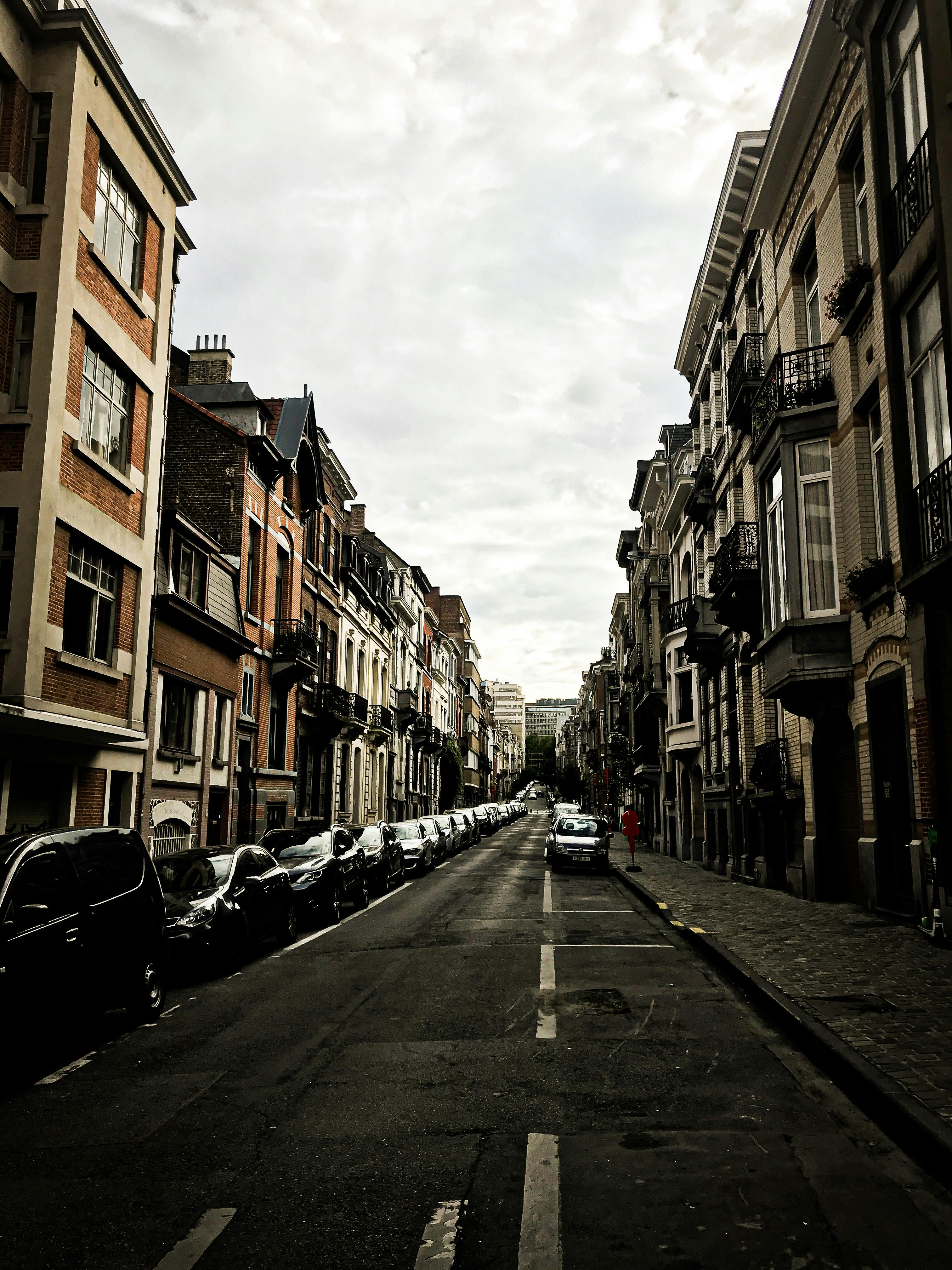Immeuble Bruxelles - dératisation syndic copropriété